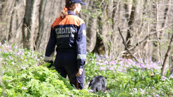 В Мамайском лесу Ставрополя заблудился мужчина, его вывели спасатели