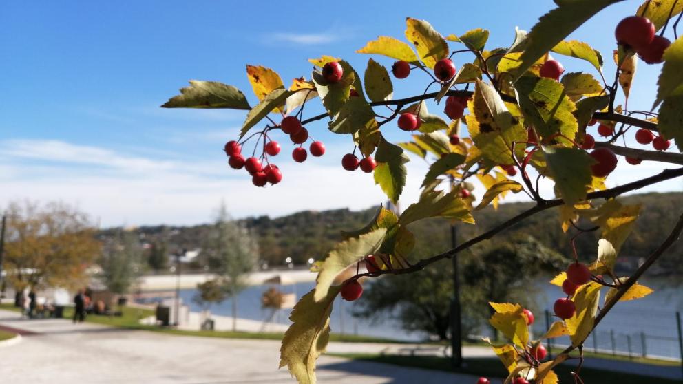 В ноябре на Ставрополье аномальных холодов не ожидают