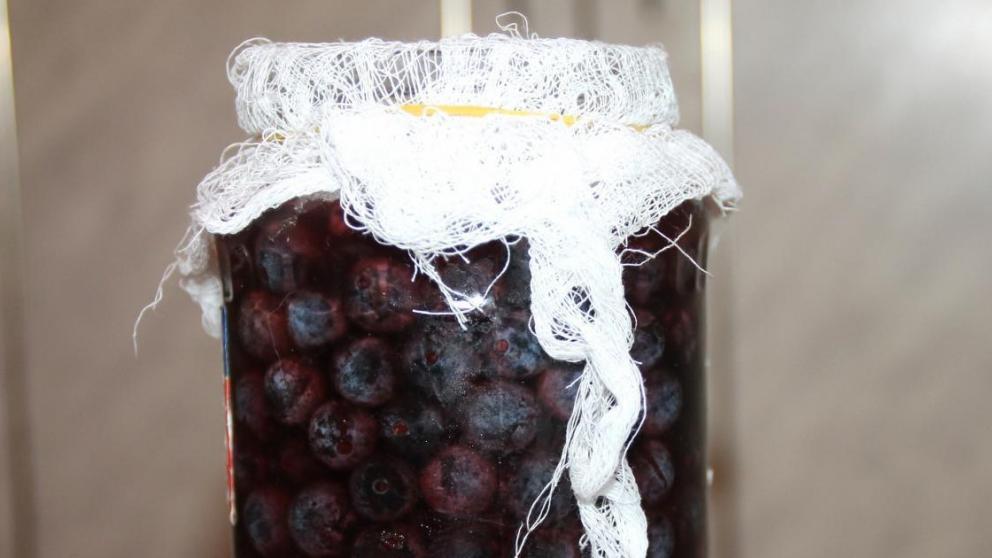 Рецепт солёного тёрна - импортозамещение оливок