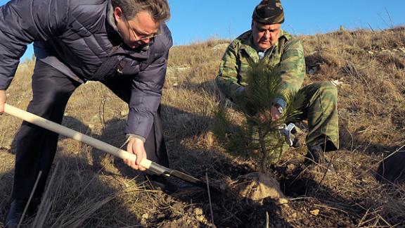 Ставрополье присоединилось к всероссийскому проекту «Лес Победы»