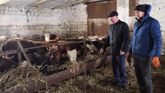 Аграрии Ставрополья получили компенсацию на приобретение 5,4 тысячи голов КРС