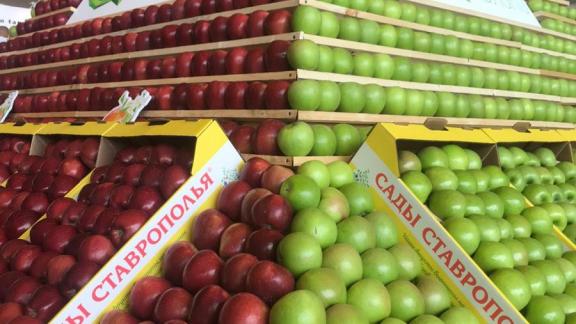 В Минеральных Водах завершает работу Международная выставка-конгресс «PROЯблоко-2021»