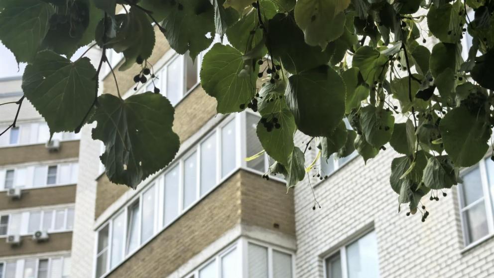 Оформить перепланировку в МКД на Ставрополье можно через Госуслуги