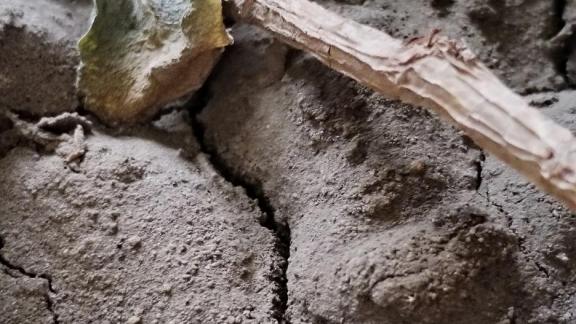 В посёлке Санамер на Ставрополье произошло землетрясение