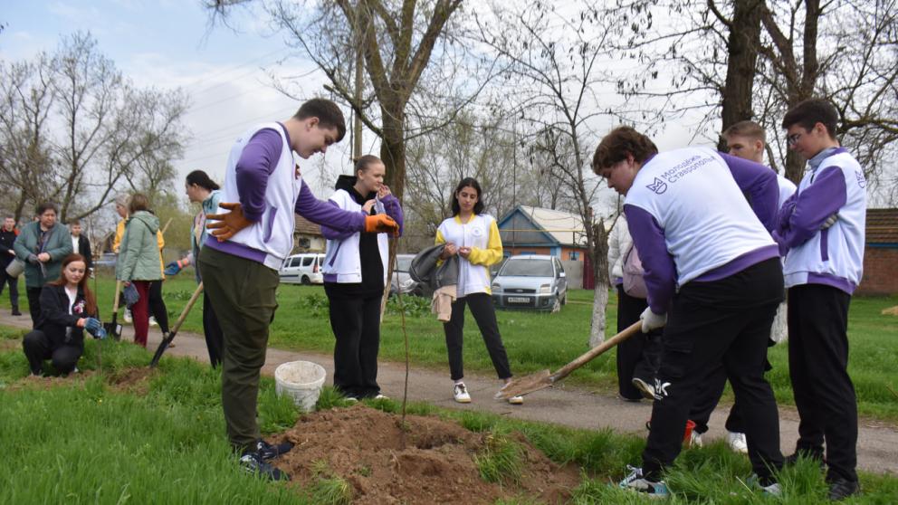 Апанасенковский округ Ставрополья присоединился к акции «Сад Памяти»