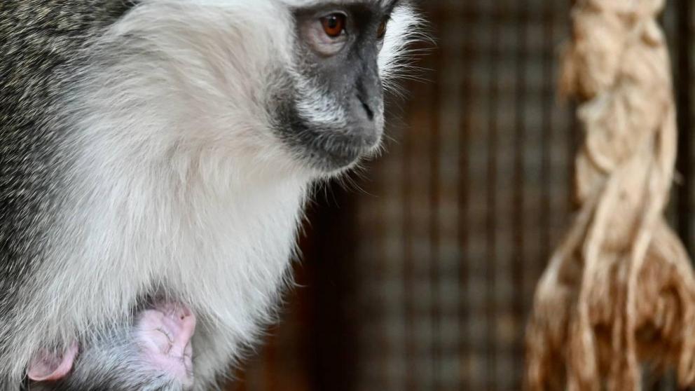 В Ставропольском зоопарке опять пополнение