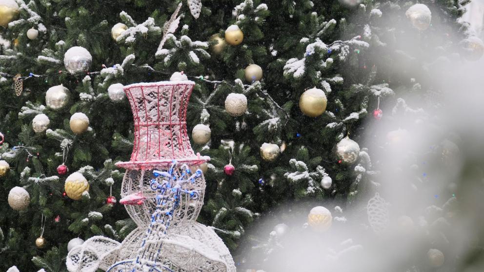 В Ставрополе зажгли главную ёлку края