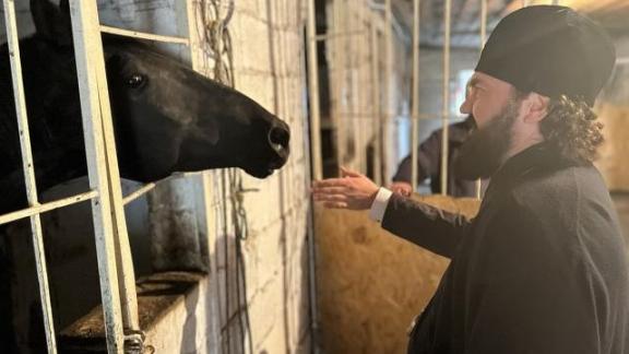 В Центре иппотерапии «Целебный Ессентуки» появится крытый манеж