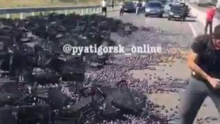 Сливовые реки «потекли» по ставропольской трассе