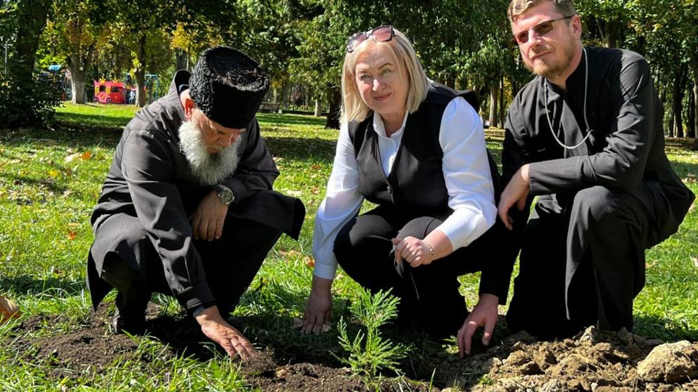 В Пятигорске посадили саженцы секвойи