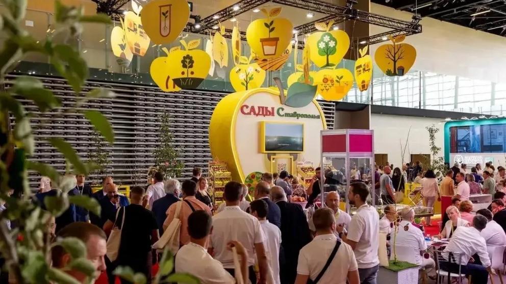 Губернатор Ставрополья анонсировал Международную выставку «PRO ЯБЛОКО 2026»