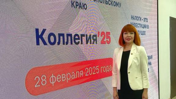 Эксперт СКФУ отметил успехи цифровизации налоговой службы