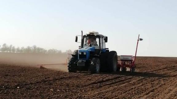 Аграрии Ипатовского округа Ставрополья приступили к севу кормовых культур