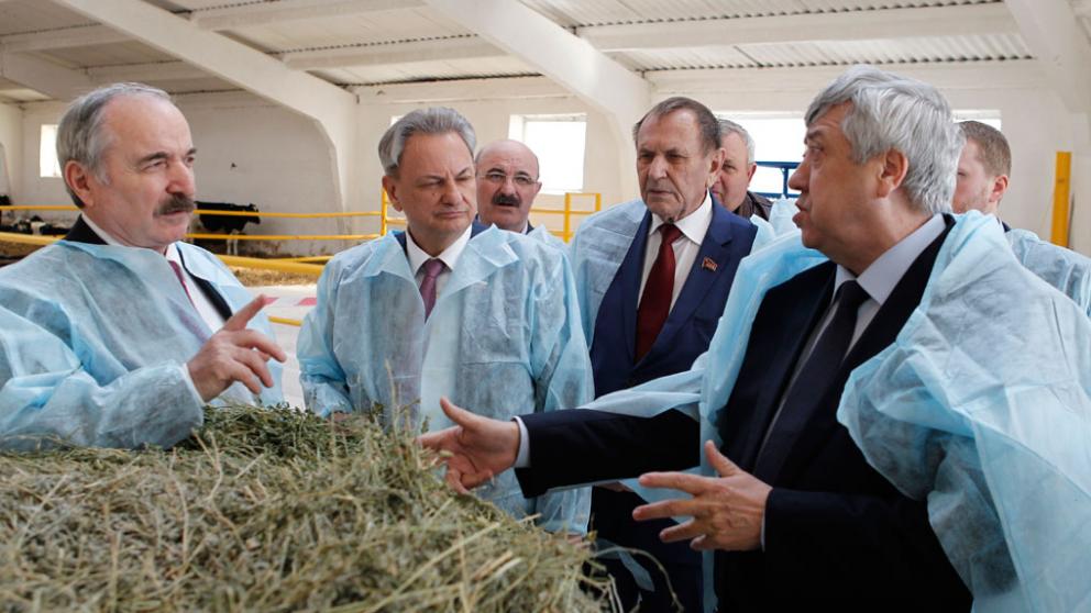 На Ставрополье производители молока могут рассчитывать на господдержку в 2017 году