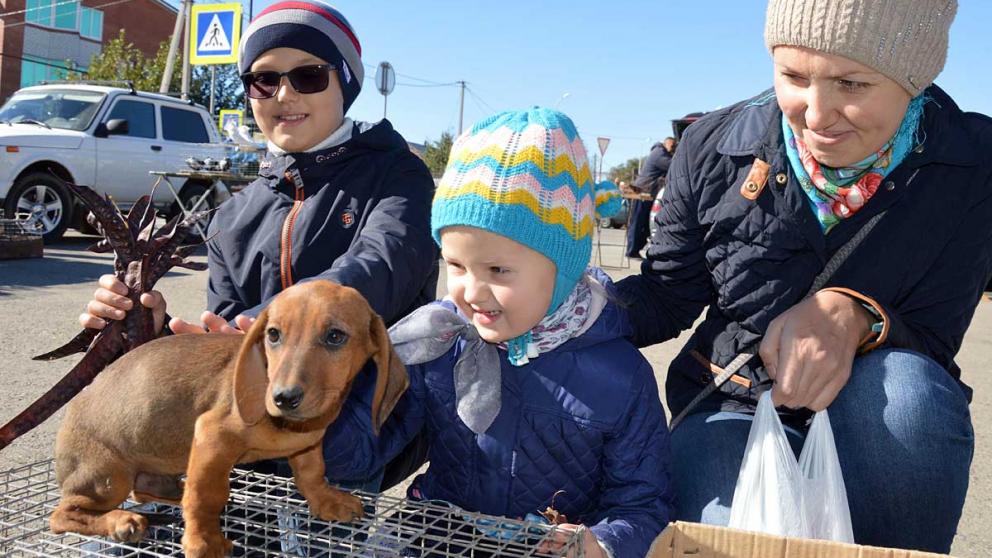 Гуси, голуби, попугаи и другие птицы и животные радовали жителей Дивного на выставке