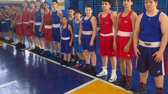 Около 250 спортсменов собрали соревнования по боксу в Ставрополе
