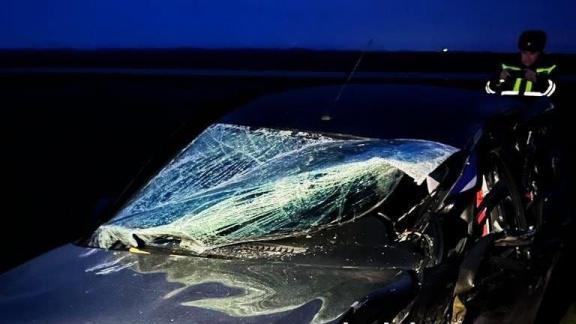 Водитель легковушки врезался в фуру в Курском округе Ставрополья