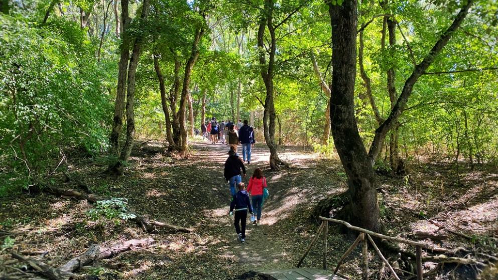 Древнее «Татарское городище» открывает тайны юным любителям археологии