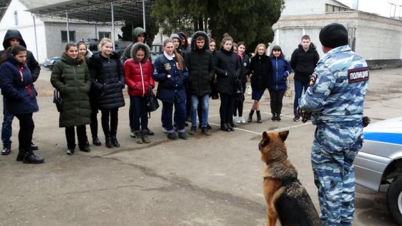 Общероссийская акция МВД России «Студенческий десант» стартовала на Ставрополье