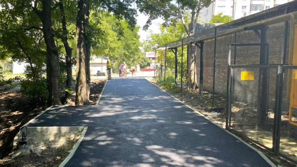 При строительстве тротуара в лесном массиве Ставрополя не пострадало ни одно дерево