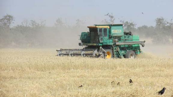 Уборочная кампания завершена в ставропольской колонии