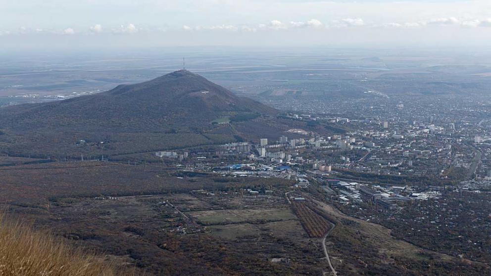 На юго-западном склоне Машука могут уничтожить 500 сосен