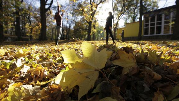 «Бабье лето» на Ставрополье преподносит сюрпризы