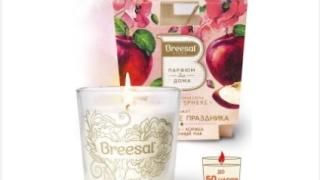 Уютный дом с AvtoTO Market