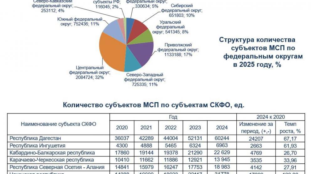 Число МСП на Северном Кавказе выросло на 41 процент за пять лет