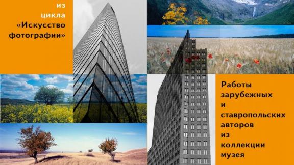 В девятой гимназии Ставрополя возобновила работу художественная галерея