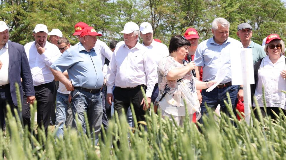 В Новоселицком округе краевые парламентарии обсудили проведение сезонных полевых работ