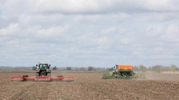 На Ставрополье озимыми засеяно более 50 процентов площадей