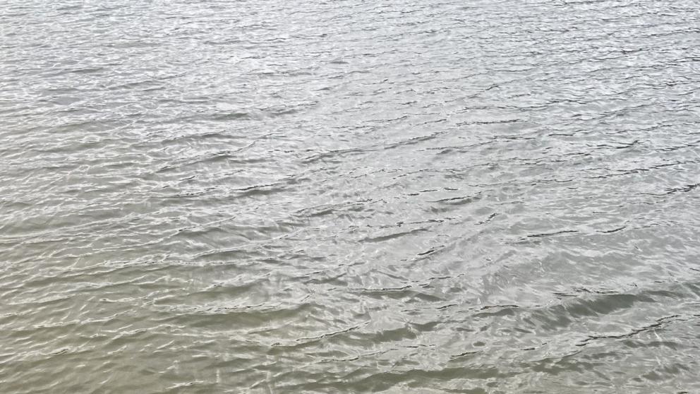 Губернатор Владимиров: Ставрополье активно участвует в акции «Вода России»