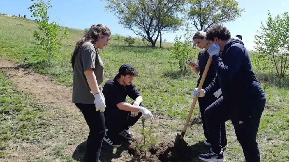 Губернатор Владимиров пригласил ставропольцев  присоединиться к Всероссийской неделе субботников
