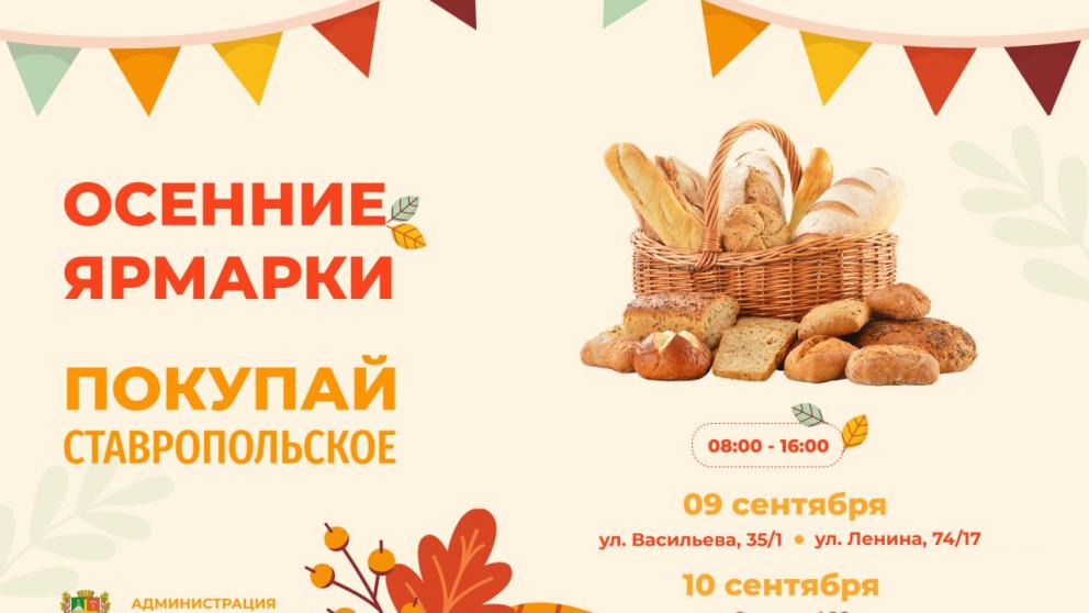 Четыре ярмарки развернутся на выходных в Ставрополе