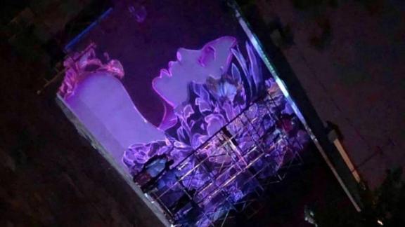 Профиль «цветочной девушки» рисуют в центре Ставрополя