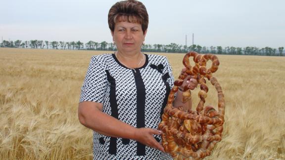 Лучший агроном