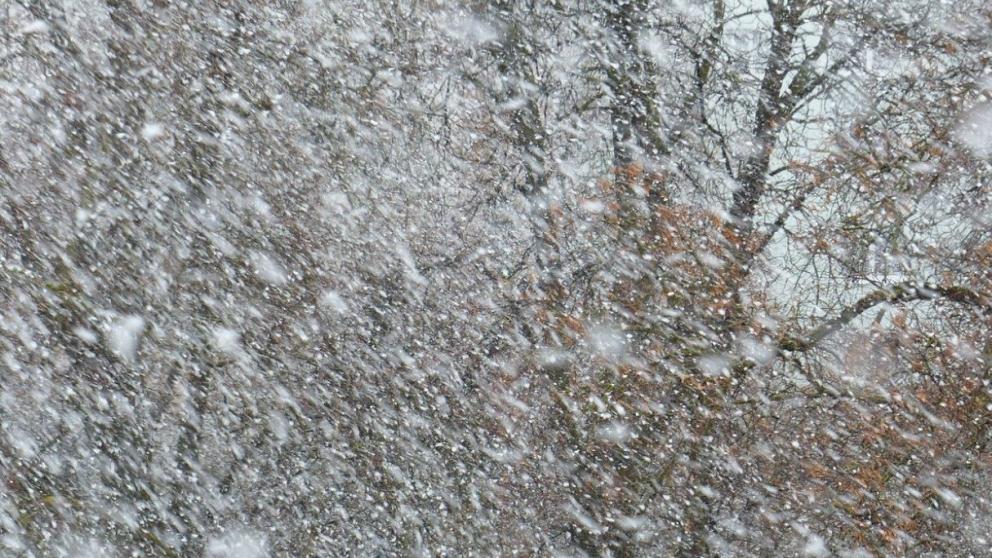 В пострадавших от стихии районах Ставрополья сегодня восстановят электричество