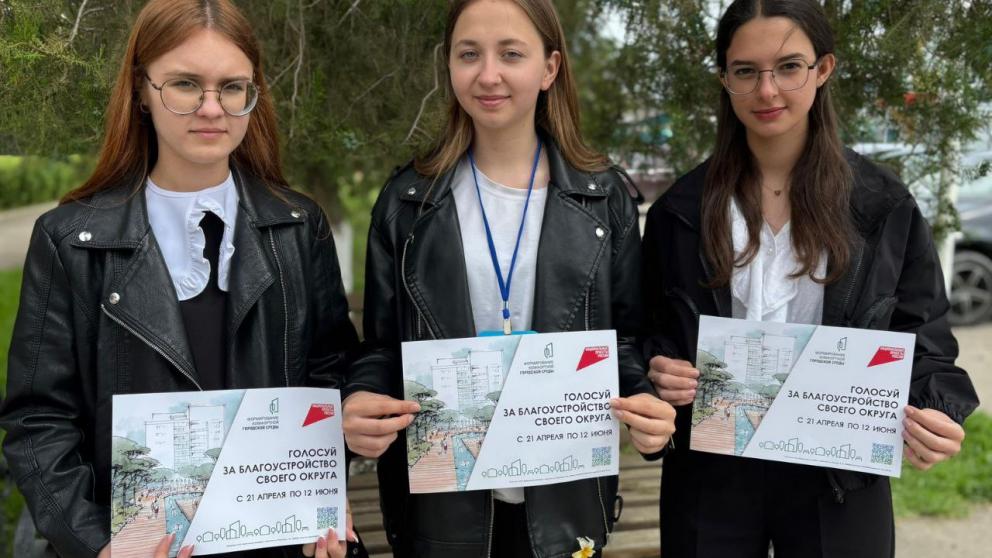 Волонтёры Новоселицкого округа помогают жителям голосовать за объекты благоустройства