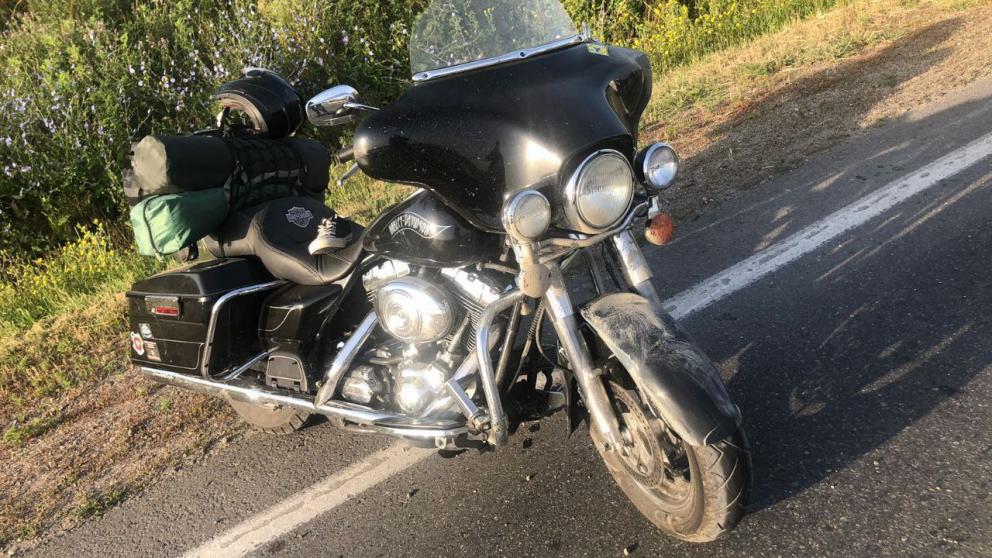 Мотоциклист сбил кабана в Минераловодском округе Ставрополья