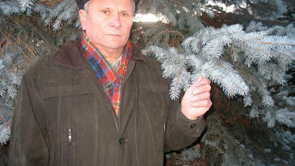 Из лесу елочку взяли мы… в школу