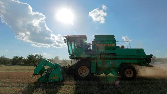 Подготовка к жатве в Ставропольском крае вышла на финишную прямую