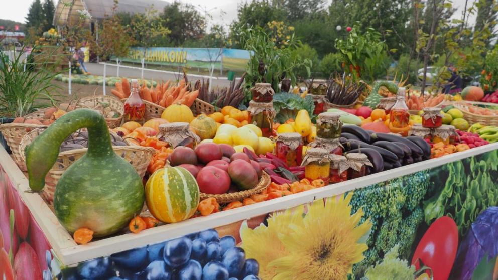 Краевой праздник урожая состоялся в Михайловске