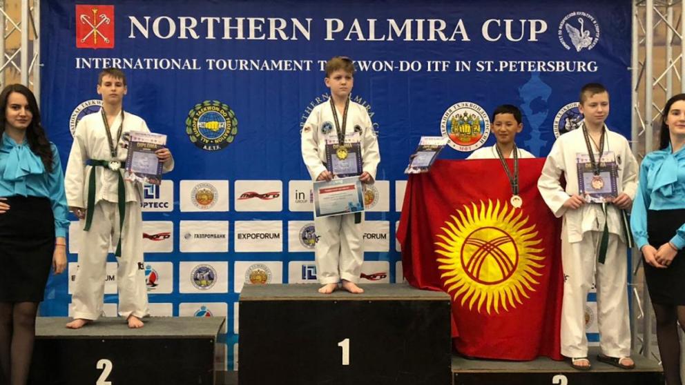 Ставропольцы привезли награды с международного турнира федерации тхэквондо России