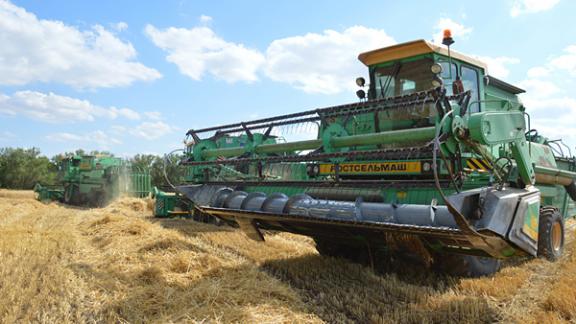 В Левокумском районе Ставрополья преодолен рубеж по намолоту зерна в сто тысяч тонн