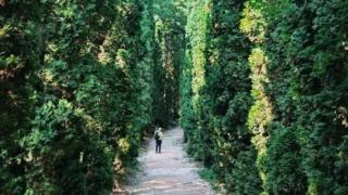 Бесплатную реабилитацию после COVID-19 предлагают в Кисловодске