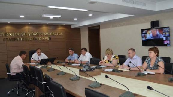 В дни жатвы минсельхоз Ставрополья переходит на усиленный режим работы