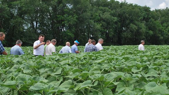 На Ставрополье создадут Союз биологического земледелия