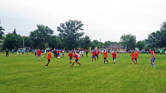 Турнир по мини-футболу памяти Иосифа Шаповалова провели в Александровском районе