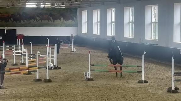 Всадницы из Ставрополя заняли призовые места во всероссийских конно-спортивных соревнованиях